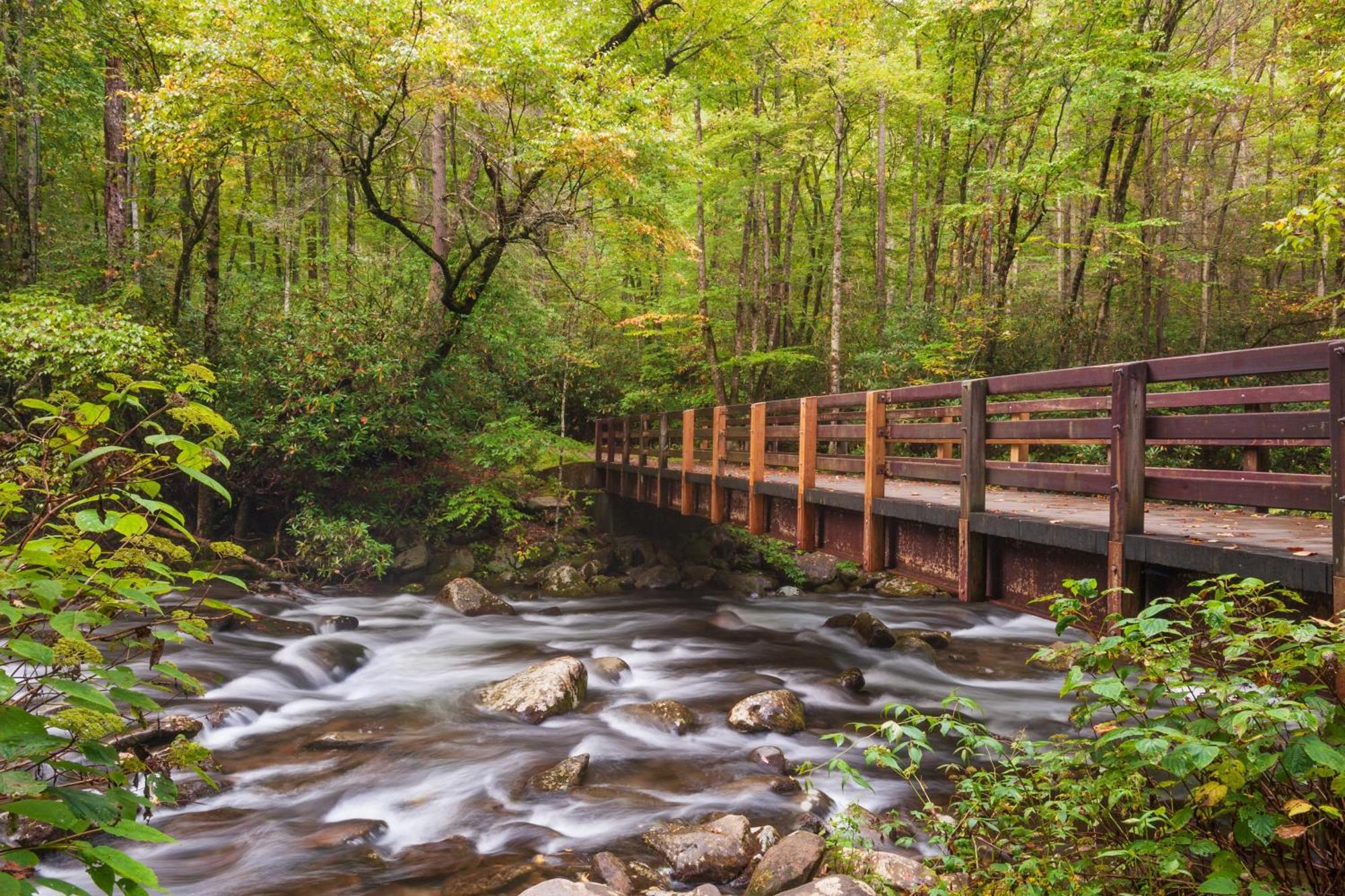 Mountain Lake Lodge, Hot Tub, Theater Room, 1089 Free Tickets Each Paid Day, Dollywood And More Sevierville Luaran gambar